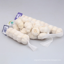 Hot sales new crop China/Chinese fresh garlic pure white garlic for wholesale